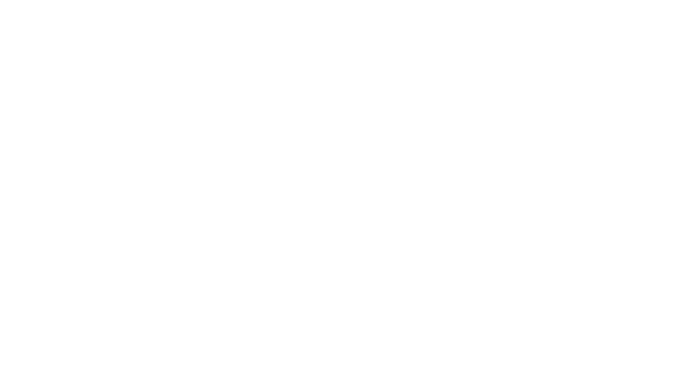 DNS Roofing